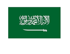 Red Sea FCL Network Jeddah/Yanbu to Jordan/Aqaba Reefer Container