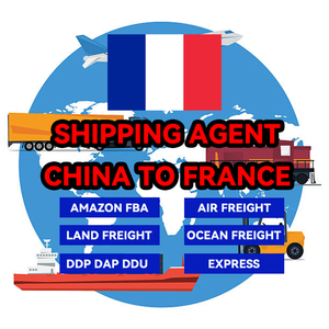 Air Express China Forwarding Door to Door Fast air Shipping Ddp to France