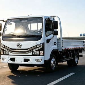 Light Duty Euro 2 Diesel 4x2 Flatbed Cargo Truck with Cummins Engine and SINOTRUK Chassis for Urban Logistics Delivery
