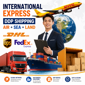 Shipment Visibility DDP Air Sea China to Worldwide Door to Door Express Forwarder Agent End to End Transparency Ship Svc