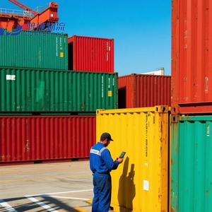 Professional DG Cargos Sea Shipping Agent Expert in Battery Transportation