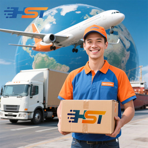 Professional Shipping Agent DDP Door To Door Logistics Services Air Sea Shipping