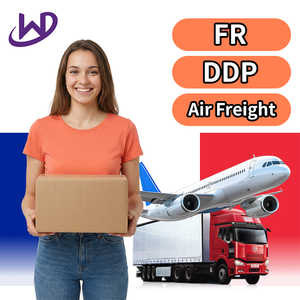 Professional Oversize Cargos Dangerous Goods Air Express Shipping Agent